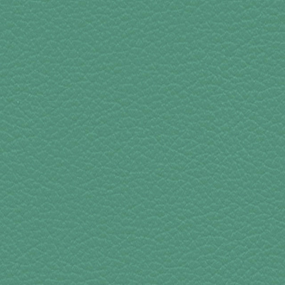 Palomaaqua green